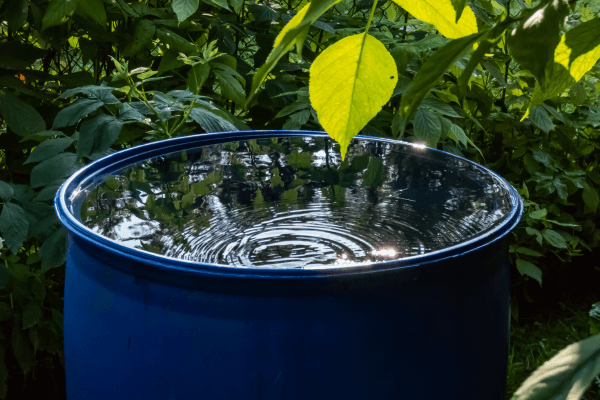 Ideias Criativas para Reaproveitamento de Água da Chuva em Casa