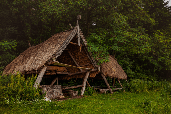 Como Construir uma Cabana de Sobrevivência com Materiais Naturais