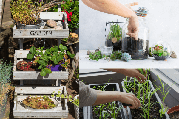 Mini Hortas Automatizadas: Cultive Temperos e Ervas em Casa sem Esforço