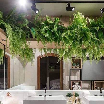 Plantas que Amam Sombra a arvore