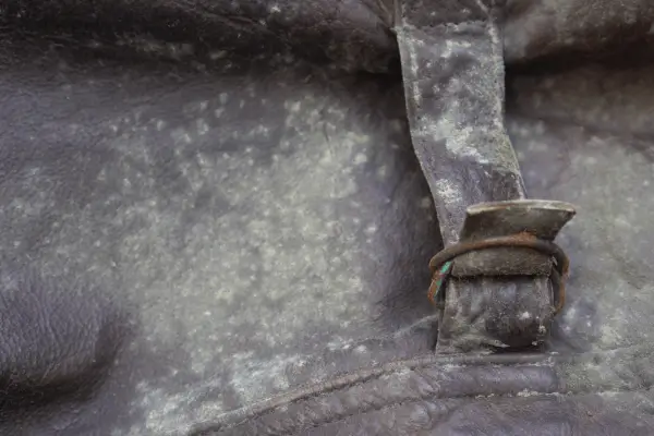 Como Tirar Mancha da Roupa