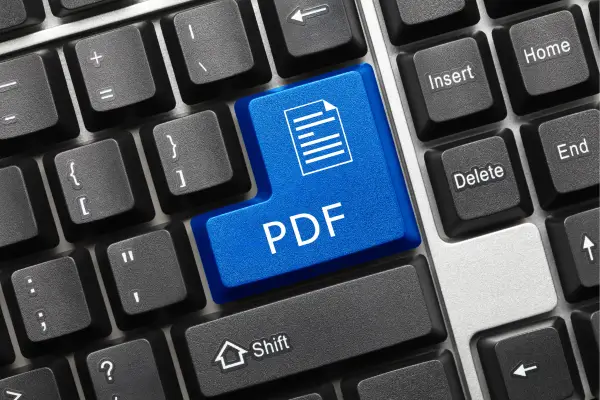 Como Converter PDF em Word